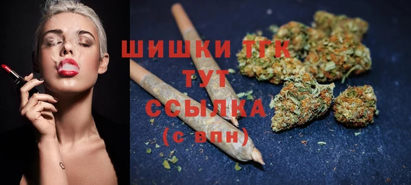 бошки Бронницы